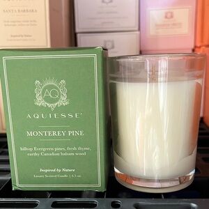Aquiesse Monterey Pine Scented Candle 6.5 oz NEW